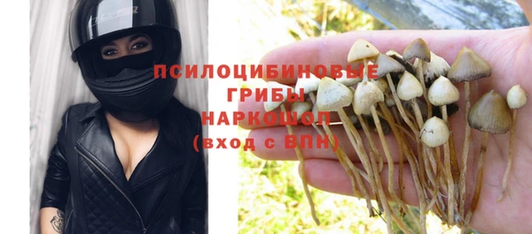 ГАЛЛЮЦИНОГЕННЫЕ ГРИБЫ Лагань
