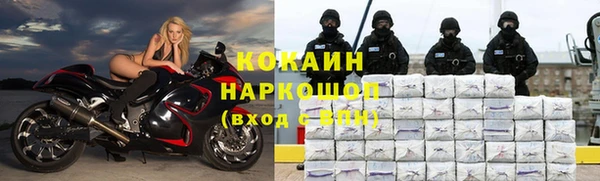 дмт Ладушкин