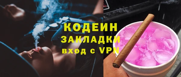 ГАЛЛЮЦИНОГЕННЫЕ ГРИБЫ Лагань