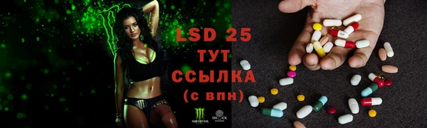 ГАЛЛЮЦИНОГЕННЫЕ ГРИБЫ Лагань