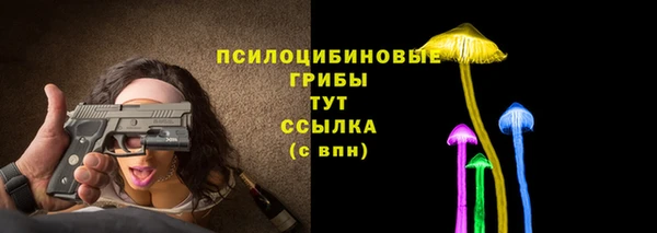 крисы Лабытнанги
