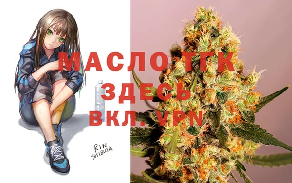 дмт Ладушкин