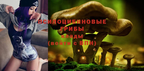 гидропоника Липки