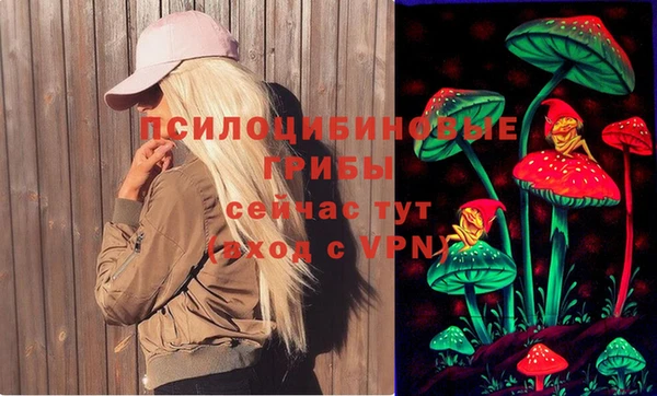 герыч Лиски